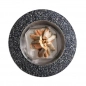 Preview: Edelrost Cortenstahl oder Edelstahl Feuerschale Luna Preview: Edelrost Cortenstahl oder Edelstahl Feuerschale Luna
