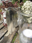 Preview: Shabby Chic Engelsflügel für Windlichter, 2 Größen