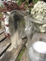 Preview: Shabby Chic Engelsflügel für Windlichter, 2 Größen