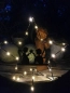 Preview: LED Gartenstecker Stern
