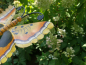 Preview: Edelrost Gartenstecker Schmetterling Yellow Cider