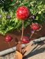 Preview: Edelrost Glasblume Ferrum, rote Kugeln