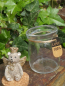 Preview: Glasdose Engelsbote, 3 Farben