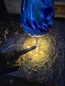 Preview: lasflamme Azur, zum Stecken