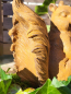 Preview: Gusseisen Eichhörnchen, groß