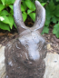 Preview: Gusseisen Hase Bonita, schwarz-braun