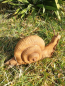 Preview: Gusseisen Schnecke