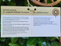 Preview: Edelrost Gusseisen Gartenstecker keltische Sonne