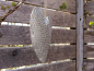 Preview: Edelrost Gartenschild Herz-Zuhause
