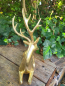 Preview: Hirsch Eiko liegend, Polyresin, gold