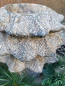 Preview: Polyresin Hirsch Weihnachtsbaum Felix, Dose