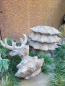 Preview: Polyresin Hirsch Weihnachtsbaum Felix, Dose