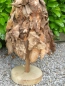 Preview: Holzbaum