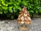 Preview: Holzbaum