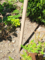 Preview: Holzstab für Gartenkugeln