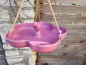 Preview: Kunststoff Futterschale/Vogelbad Lavena, Blume pink