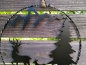 Preview: LED Ring, Reh stehend