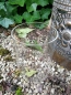 Preview: Windlicht Lento, vintage-antikgold