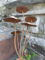 Preview: Topfstecker 5er Pilz-Gruppe, Edelrostoptik 3D