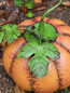 Preview: Metallkürbis rund, orange