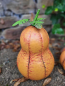 Preview: Metallkürbis flaschenförmig, orange