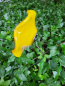 Preview: Topfstecker Glasblume Kringel, gelb