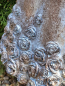 Preview: Polyresin Blumenfee Bellmone, mit Vogel