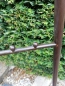 Preview: Präsentationsständer Baum, Metall, dunkelbraun lackiert