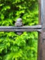 Preview: Rankgitter Tortoli aus Metall