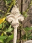 Preview: Shabby Chic Rankhilfe (Art Ferro)