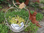Preview: Shabby Chic Pflanzkorb Rudolpho