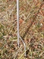 Preview: Gartenstecker Vogel grau