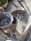 Preview: Shabby Chic Wasserspiel Schubkarre