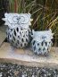 Preview: Windlicht Eule Esmeralda, Shabby Chic