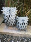 Preview: Windlicht Eule Esmeralda, Shabby Chic