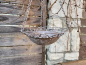 Preview: Shabby Chic Pflanzschale Isabell, zum Hängen