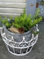 Preview: Shabby Chic Pflanzkorb Krone, weiß