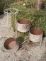 Preview: Shabby Chic Pflanztopf Udine, 3-teilig