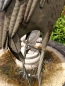 Preview: Shabby Chic Reiher, Kopf gesenkt