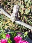 Preview: Shabby Chic Dekoschale mit Fuß