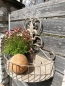 Preview: Shabby Chic Wandkorb Madeira