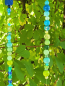 Preview: Sonnenfänger Verde con Azzurro