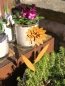 Preview: Edelrostoptik Topfstecker Blume Beatriz
