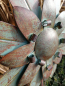 Preview: Blume Cherry, Vintage