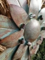 Preview: Blume Cherry, Vintage