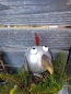 Preview: Zink Vogel Crazy Bird Joanna