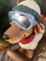 Preview: Weihnachts Dackel Scotty