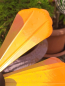 Preview: Windrad Gelb-Orange, zum Stecken