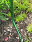 Preview: Windrad Sonnenblume zum Stecken