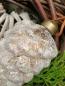 Preview: Christbaumkugel Zapfen Mikana 13 cm, beige
